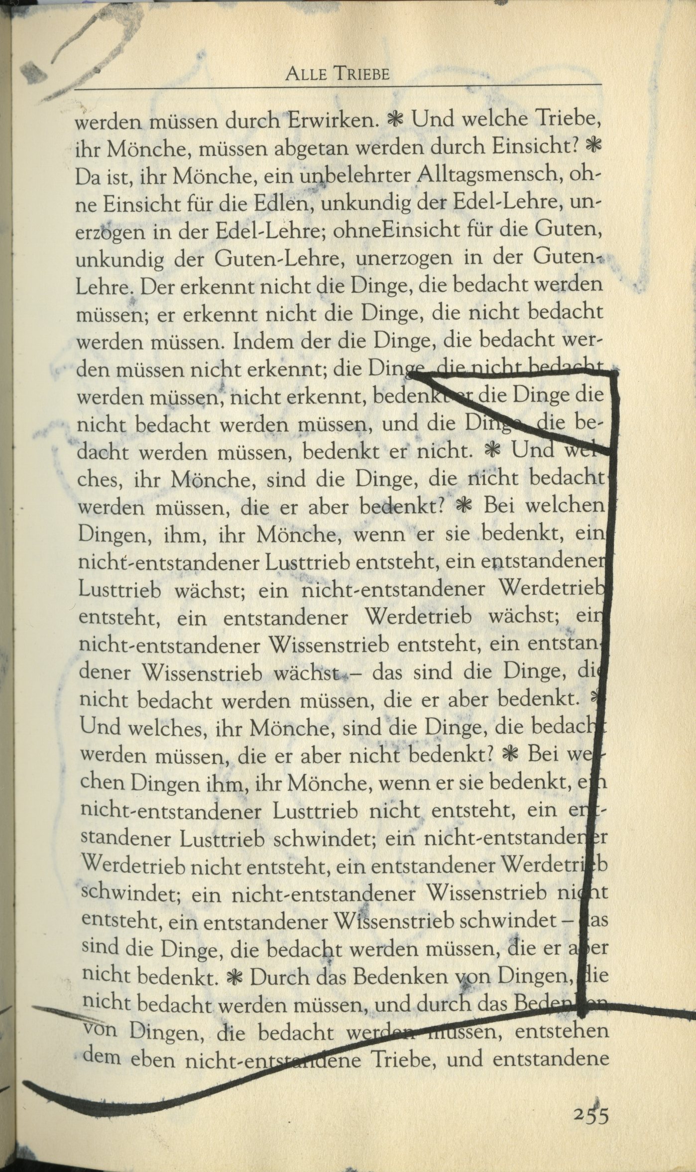Bild Buddhabuch 10