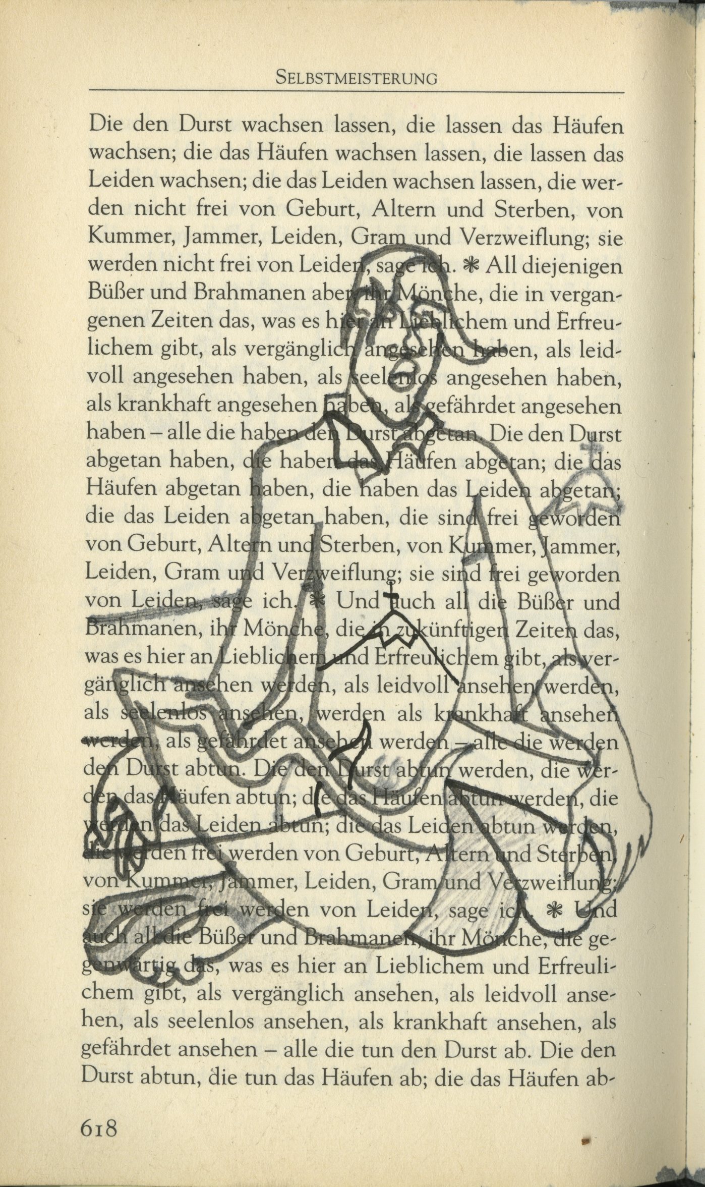 Bild Buddhabuch 42