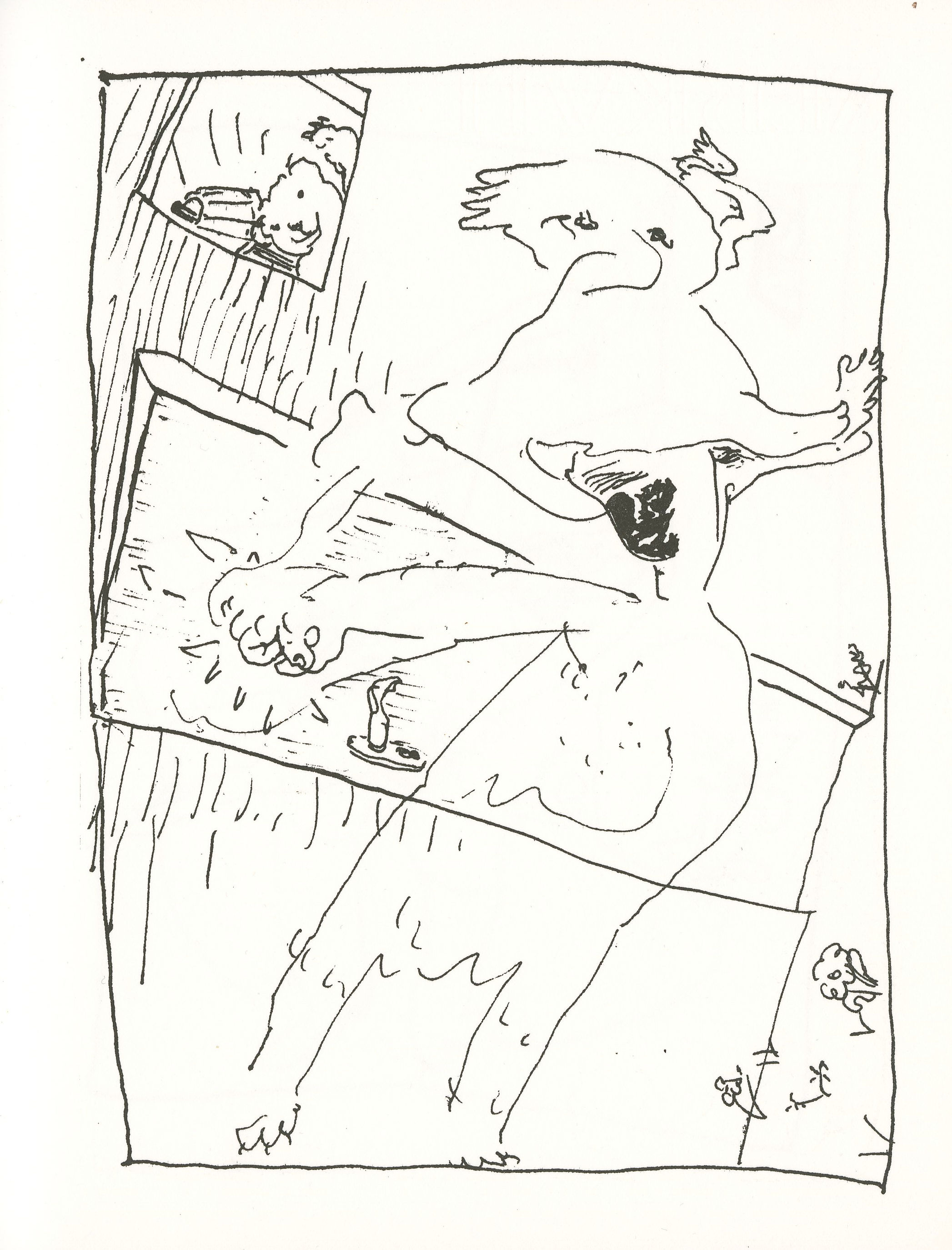 Bild 21